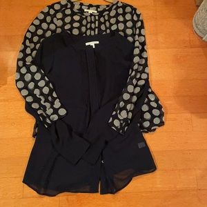 Banana Republic Sheer Blouse